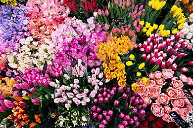 《夜行侦探：幽灵敌人》登陆PS4＆NS发售 经典视觉解谜